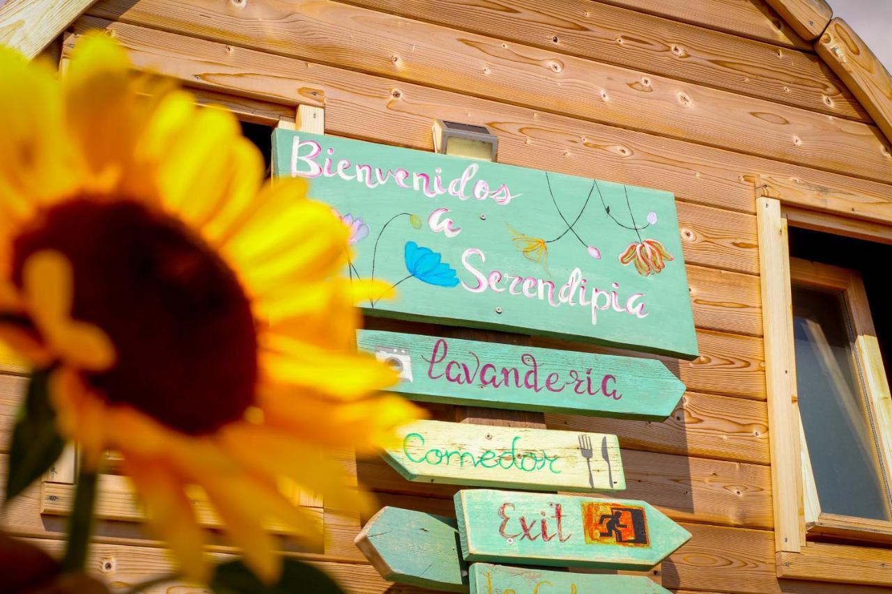 Laurisilva Love Spa Sauna Y Piscina Buzanada ภายนอก รูปภาพ